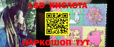 ПСИЛОЦИБИНОВЫЕ ГРИБЫ Конаково