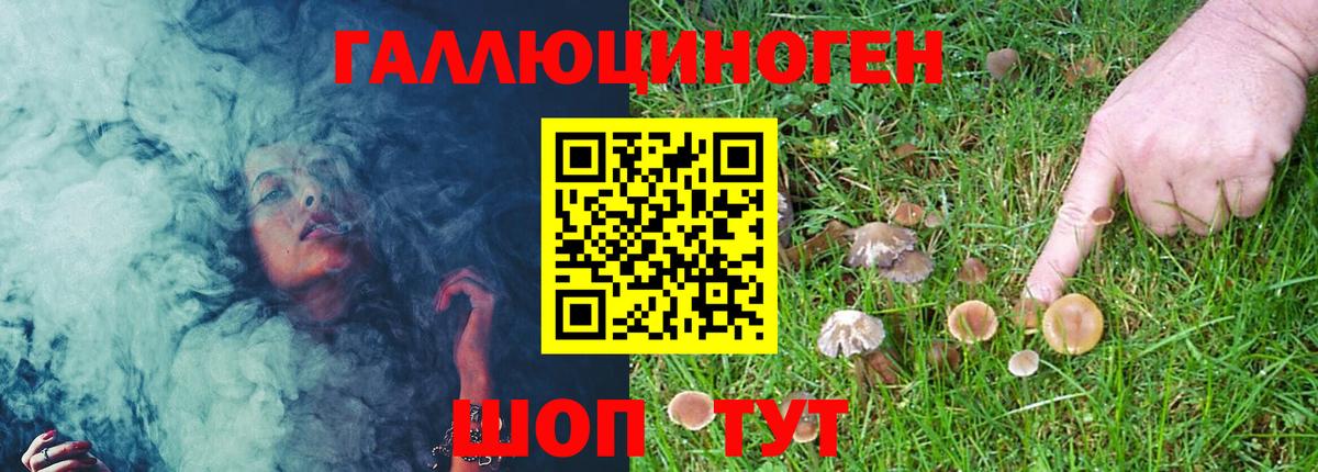 Красногорск  Галлюциногенные грибы MAGIC MUSHROOMS  Вход с VPN 